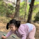 무양공원 놀이터(무양) 이미지