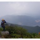 동봉태양광발전소 이미지