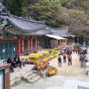 동두천-006 이미지