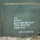 김유진「봄내」 Daum카페