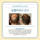 참고은의원 이미지