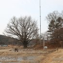 볼음저수지 이미지