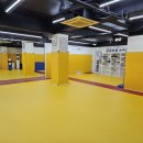 파이널 태권도 멀티짐 이미지