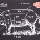 바를정육점 이미지