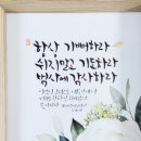 예랑캘리