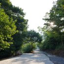 하늘구름길캠핑장 이미지