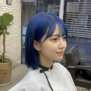 헤어두비취
