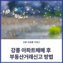 강릉부동산오늘 공인중개사사무소 이미지