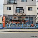 오늘은 그루밍 | 정왕동 펫샵 애견용품 애묘용품 많이있는 오렌지펫