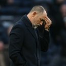 팰리스 독 이미지