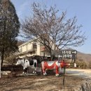서울 근교 아이랑 가볼만한 곳 경기도 여주 은아목장 체험후기
