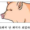 불날개.닭발 이미지