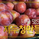 자두청만들기~ 자두에이드만들기 이미지