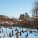 청산면-1 이미지