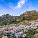 주식회사 유달산 이미지