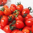 화이트짐 용인 동백점 이미지