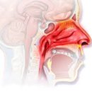 바우한의원 이미지