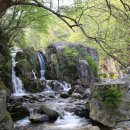 거창-위천-5 이미지