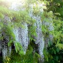 불무공원 이미지