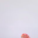 유러브니팅커피 - 세종특별자치시 어울누리로 67 | 유러브니팅커피