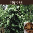 비주 이미지