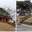 백일헌영당 티스토리