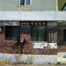 동막동(3) Daum카페
