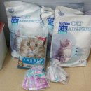 서울화곡4동우체국 이미지