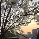 당달 아카데미 이미지