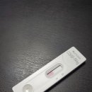 코마시스 이미지