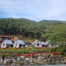 민속촌 내포점 이미지