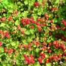 봉호농장 이미지