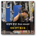 PT BOX 이미지