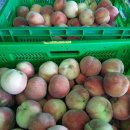 칠복농장 이미지