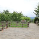 산청에가면 이미지