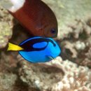 그레이트팜 이미지