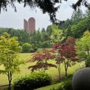카페프레시 인천성모점 | 인천 근교 산책 코스 추천｜화성 남양성모성지 가볍게 걷고 대추탕 파는 카페까지
