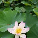 정다운꽃집 - 경주시 용담로104번길 7 | 정다운꽃집