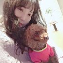 그르르르(grrr!) 이미지