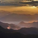 부신모사