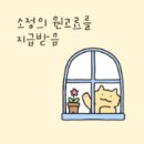 다올보청기 청각언어센터 | 용인보청기 홍성만보청기 청각언어센터 후기