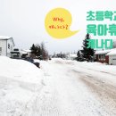 연일환경자원 | [캐나다 1년 살기] #Prologue. 영유 대신 캐나다 어학연수를 선택한 이유 (feat. 뇌과학 골든타임)