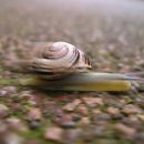 시간관리효율화 이미지