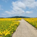 구미강정 이미지