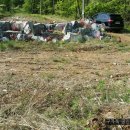 불은면-5 이미지