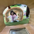 아이동산약국 | 대구어린이세상에서 신나게 놀다온 체험후기 대구아이랑 가볼만한곳