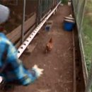 김순덕 농장 이미지