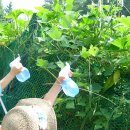 숲소리어린이집 이미지