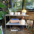 황강목욕탕 | 전주 효자동 화분 선물로 제격인 꽃집-자이라플랜트🌵