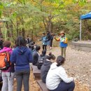 동해시-25 이미지